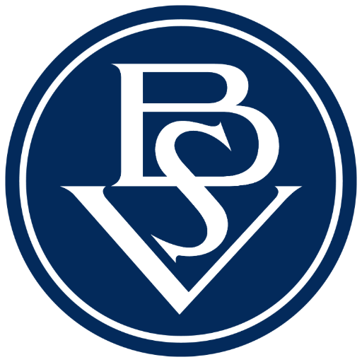 Bremer SV